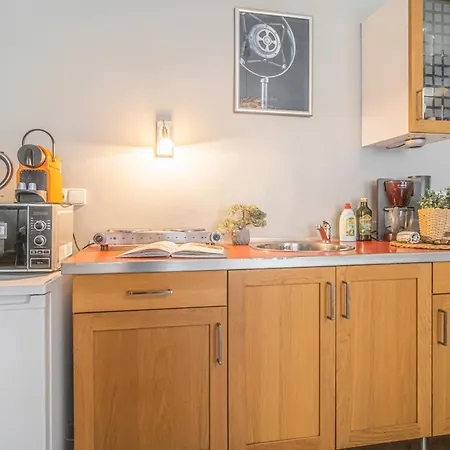 Apartment Bright Studio Close To Charles Bridge And Castle