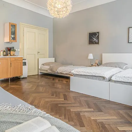 Bright Close To Charles Bridge And Castle *