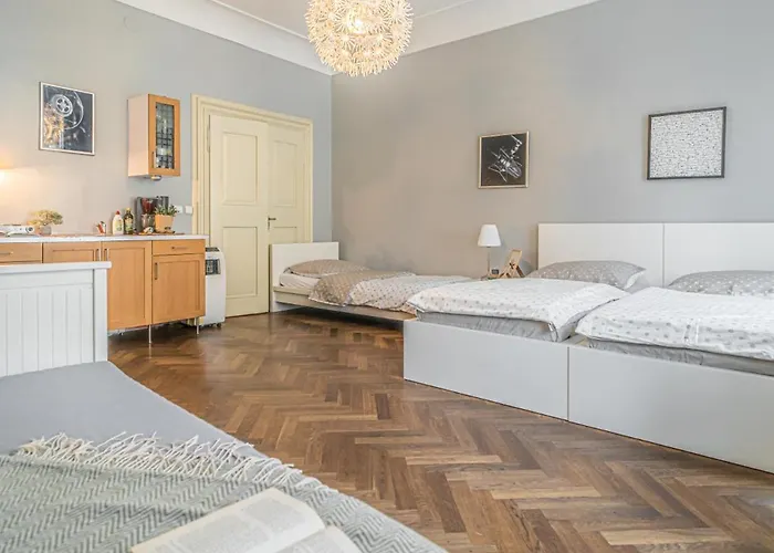 Bright Close To Charles Bridge And Castle *